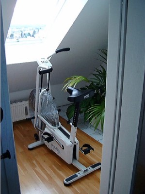 Foto: Schwinn Air-Dyne, Ganzkrperergometer